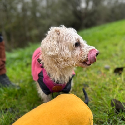 PHOTO-2025-11-20-20-01-00 4