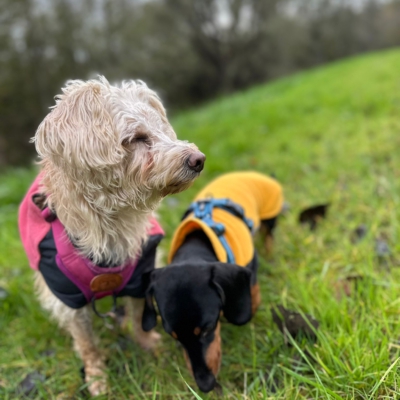 PHOTO-2025-11-20-20-01-00