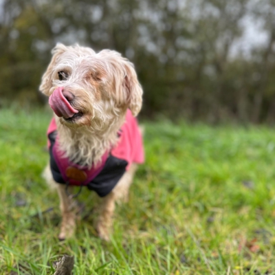 PHOTO-2025-11-20-20-01-00 5