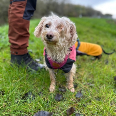 PHOTO-2025-11-20-20-01-00 6