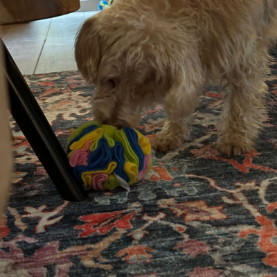 PHOTO-2025-11-20-20-01-00 7