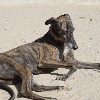 PHOTO-2025-11-20-20-07-37 2