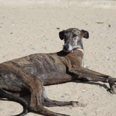 PHOTO-2025-11-20-20-07-37 3