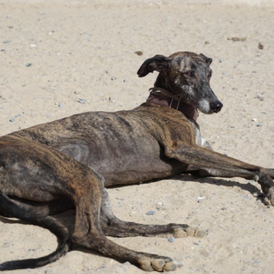 PHOTO-2025-11-20-20-07-37 4