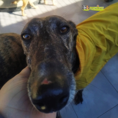 PHOTO-2025-11-20-20-08-01 2