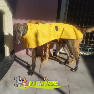 PHOTO-2025-11-20-20-08-01 3