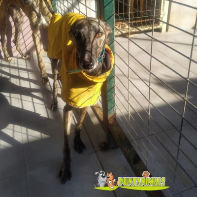 PHOTO-2025-11-20-20-08-01 4