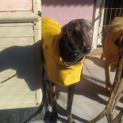 PHOTO-2025-11-20-20-08-01