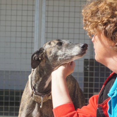 PHOTO-2025-11-20-20-09-02 2