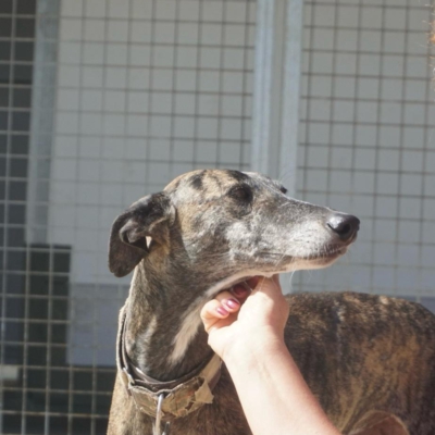 PHOTO-2025-11-20-20-09-02