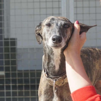 PHOTO-2025-11-20-20-09-03