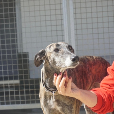 PHOTO-2025-11-20-20-09-54 2