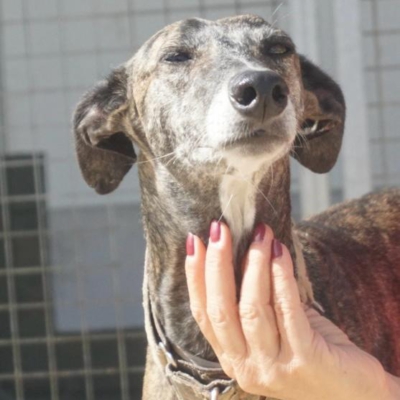 PHOTO-2025-11-20-20-09-54