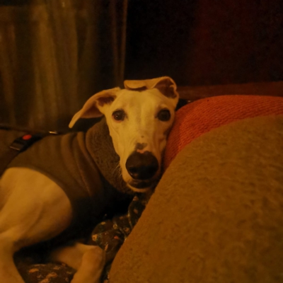 PHOTO-2025-11-21-12-59-09 2