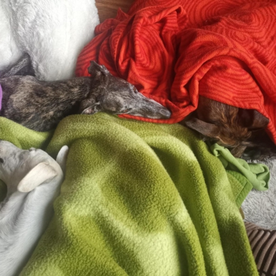 PHOTO-2025-11-21-12-59-09