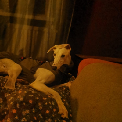 PHOTO-2025-11-21-12-59-10 2