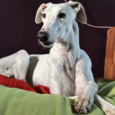 PHOTO-2025-11-21-12-59-10 3