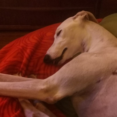 PHOTO-2025-11-21-12-59-10 4