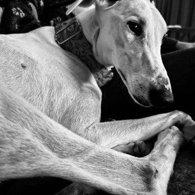 PHOTO-2025-11-21-12-59-10 5