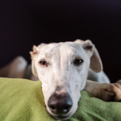 PHOTO-2025-11-21-12-59-11 2