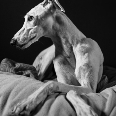 PHOTO-2025-11-21-12-59-11 3