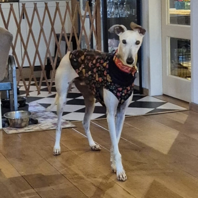 PHOTO-2025-11-21-19-04-16 2