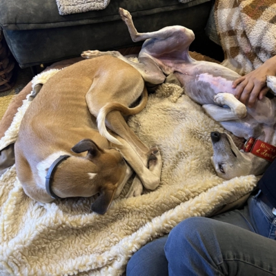 PHOTO-2025-11-21-19-04-17 2