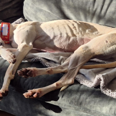 PHOTO-2025-11-21-19-04-17 3