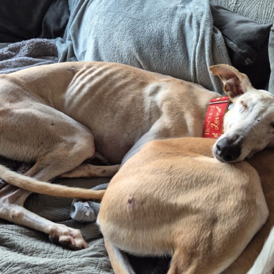 PHOTO-2025-11-21-19-04-17 4