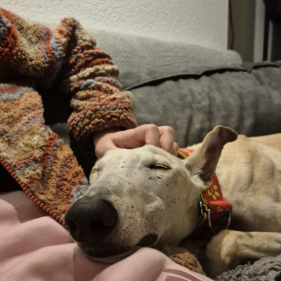 PHOTO-2025-11-21-19-04-17