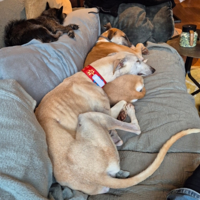 PHOTO-2025-11-21-19-04-17 5