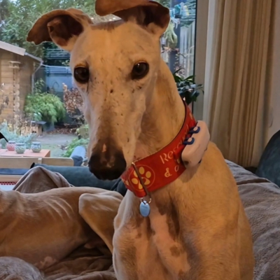 PHOTO-2025-11-21-19-04-17 6