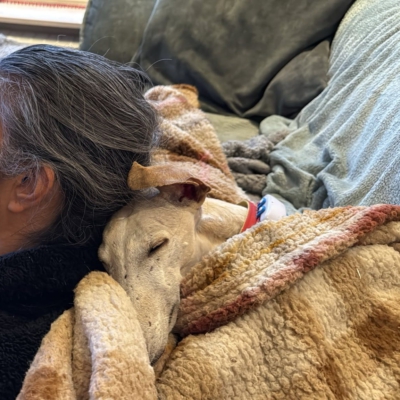 PHOTO-2025-11-21-19-04-18 2