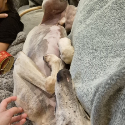 PHOTO-2025-11-21-19-04-18 3