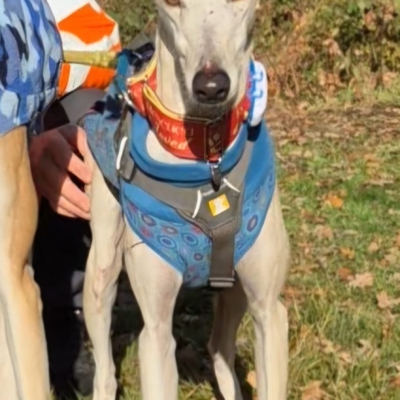 PHOTO-2025-11-21-19-04-18 4