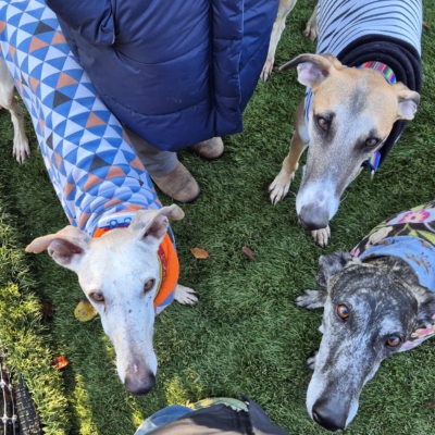 PHOTO-2025-11-21-19-04-18