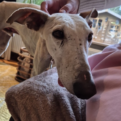 PHOTO-2025-11-21-19-05-24