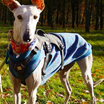 PHOTO-2025-11-21-19-40-11 2