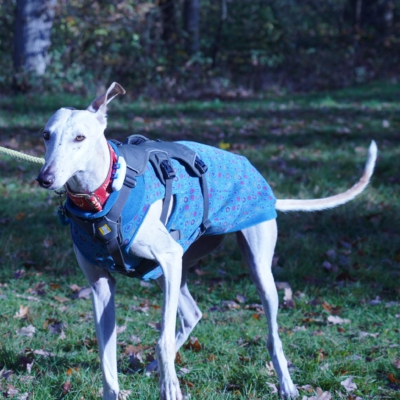 PHOTO-2025-11-21-19-40-11