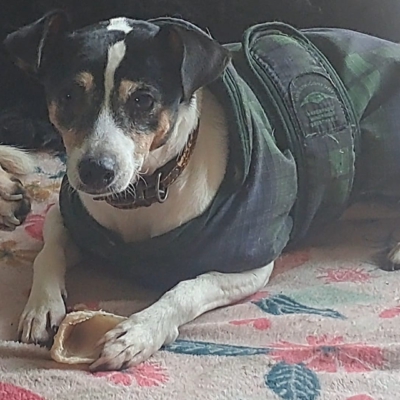 PHOTO-2025-11-21-19-47-23