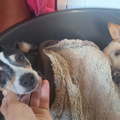 PHOTO-2025-11-21-19-47-24 2