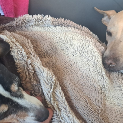 PHOTO-2025-11-21-19-47-24 3