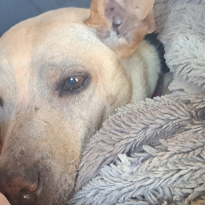 PHOTO-2025-11-21-19-47-24 4