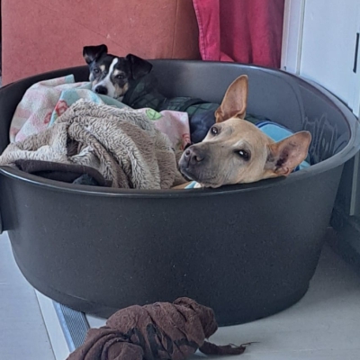 PHOTO-2025-11-21-19-47-24