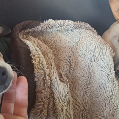 PHOTO-2025-11-21-19-47-24 5