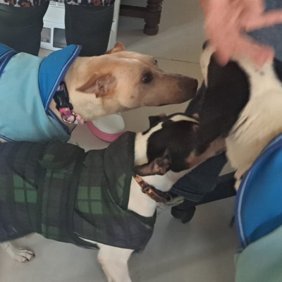 PHOTO-2025-11-21-19-47-25 2