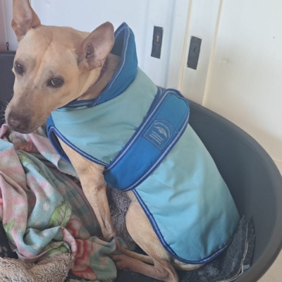 PHOTO-2025-11-21-19-47-25 3