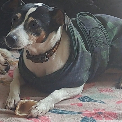 PHOTO-2025-11-21-19-47-25