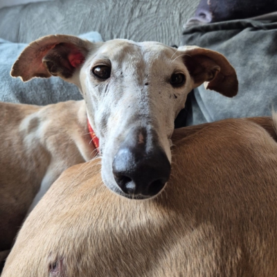 PHOTO-2025-11-22-13-35-38 2