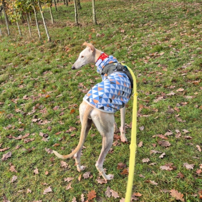 PHOTO-2025-11-22-13-35-38 7